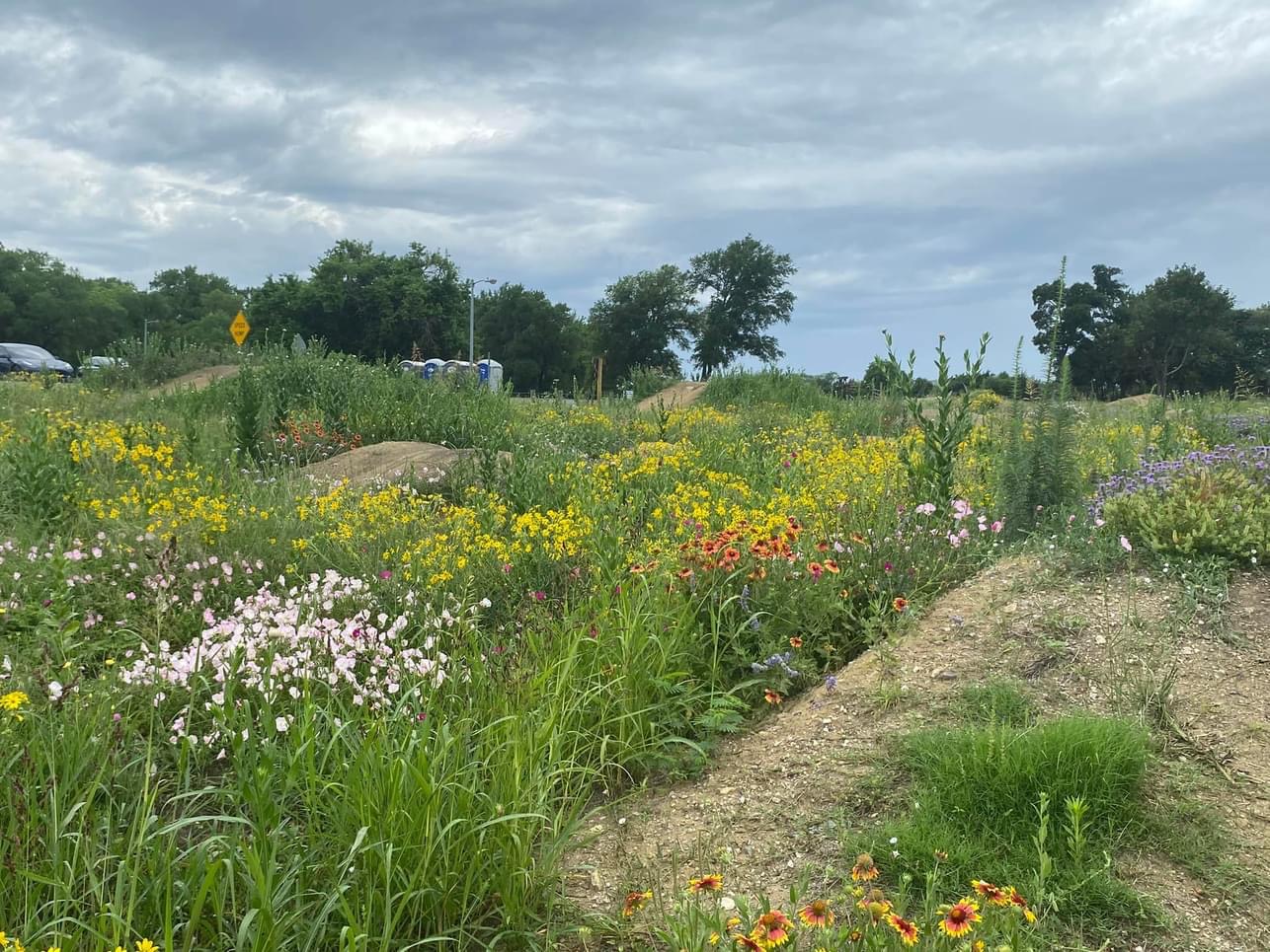 Erwin Park in bloom