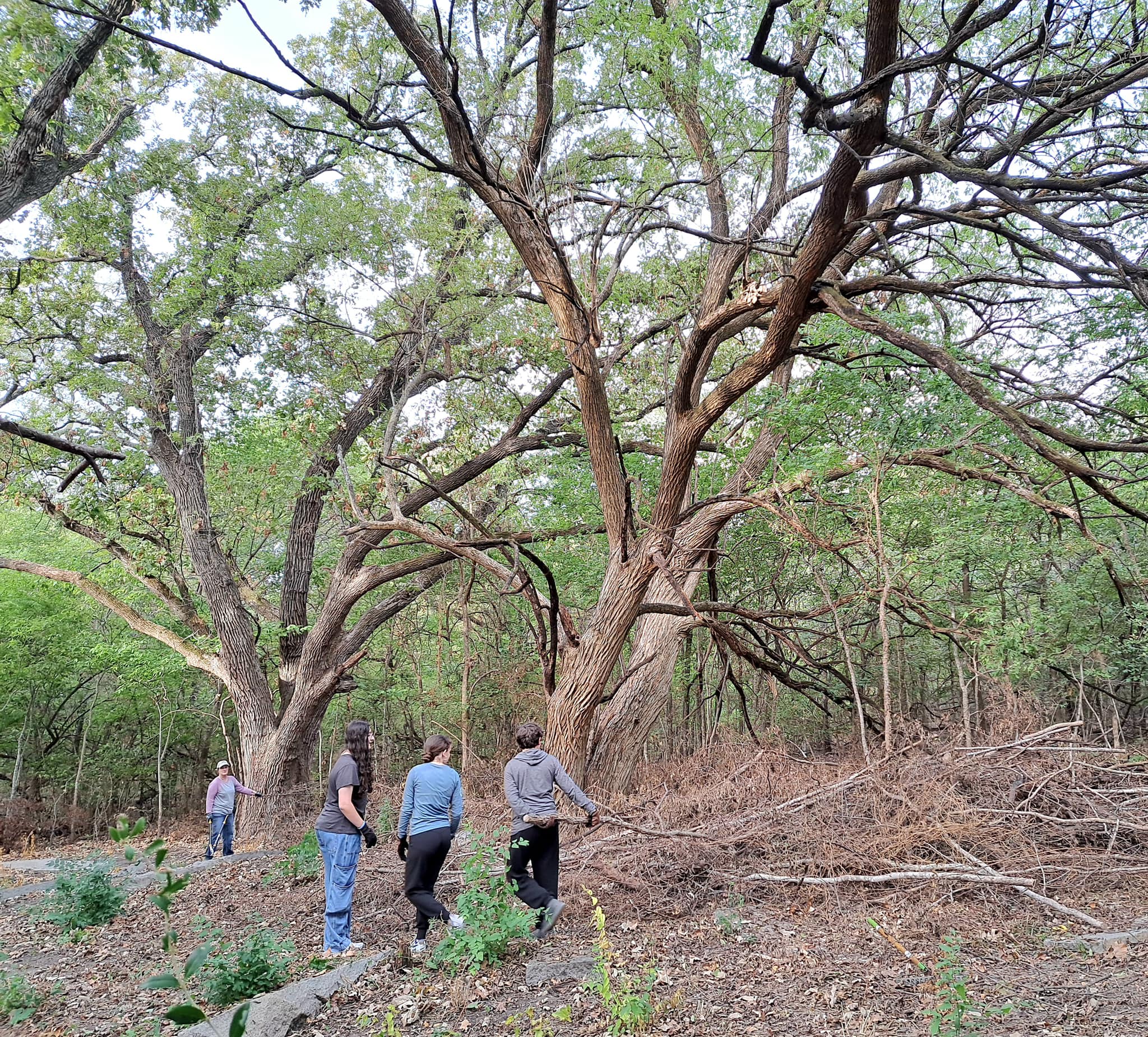 Volunteers at Gray Branch