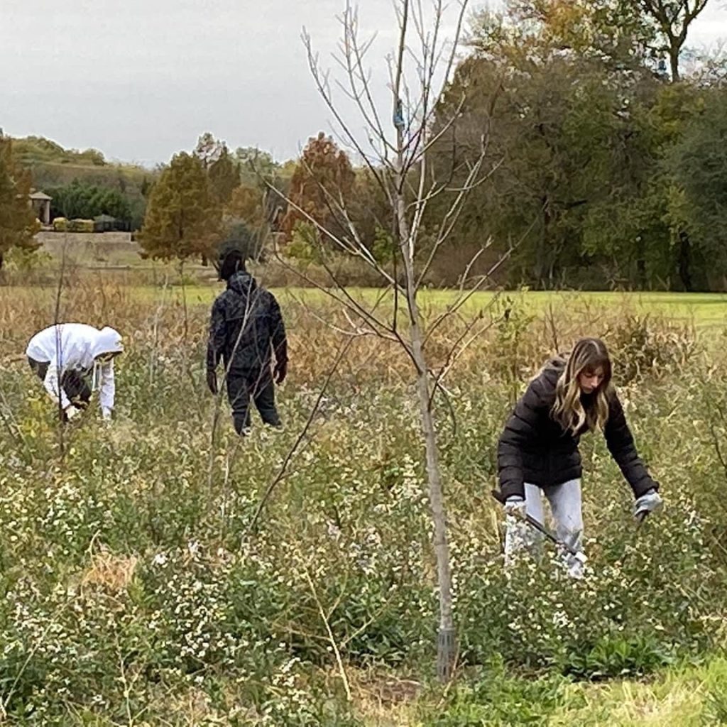 Volunteers hard at work at McKinney Greens, trimming trees and pulling back tall grass.