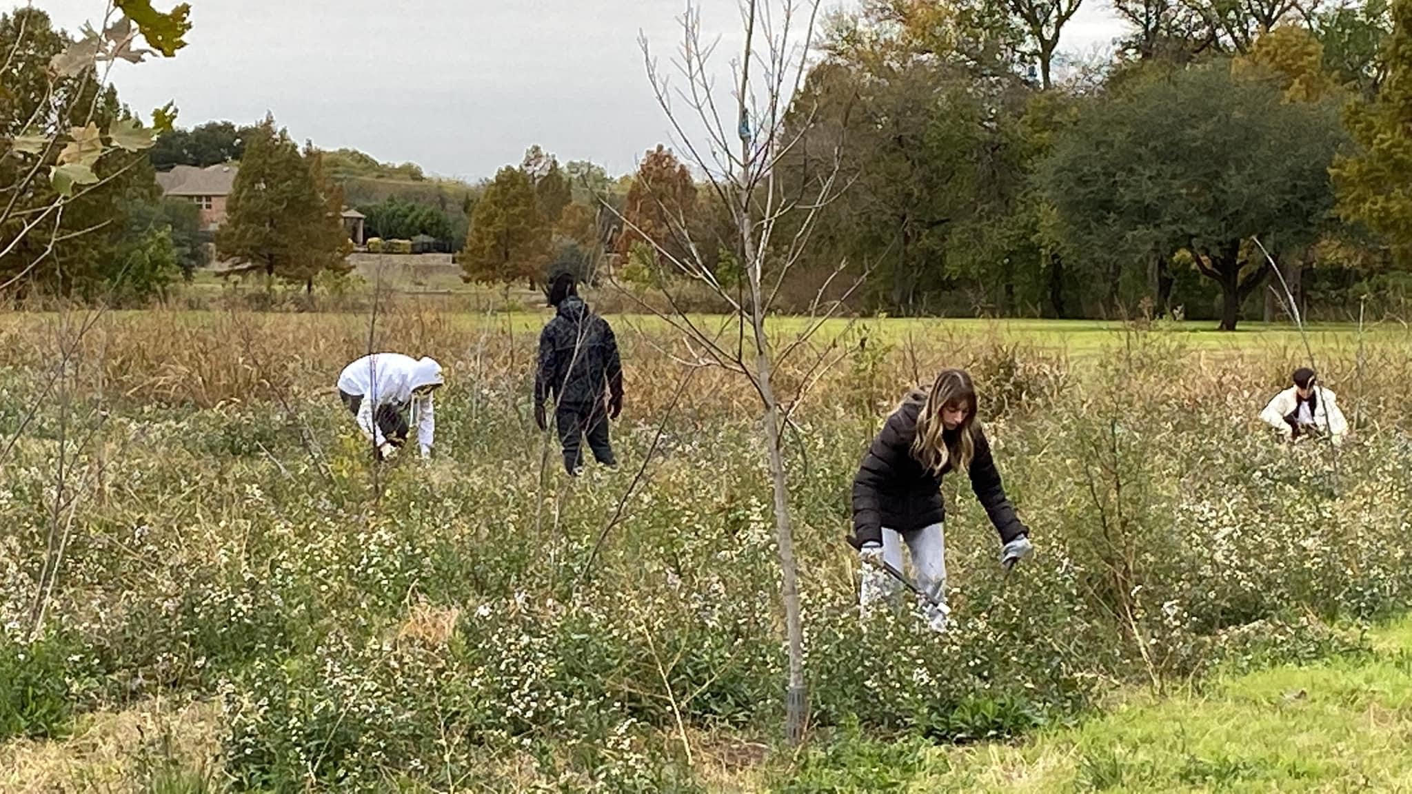 Volunteers hard at work at McKinney Greens, trimming trees and pulling back tall grass.